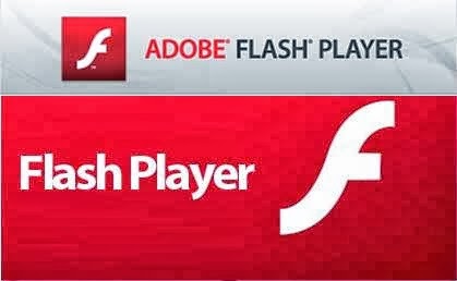 adobe flash video download